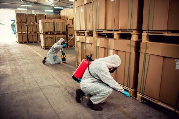 Best Bed Bug Extermination  in Bremen, OH