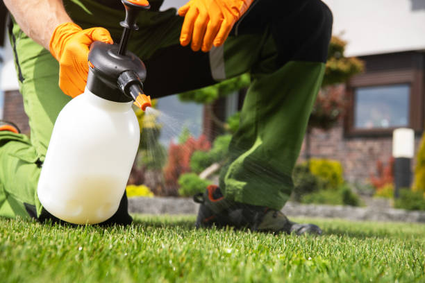 Best Affordable Pest Control Services  in Bremen, OH