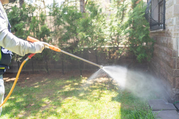 Best Mosquito Control Services  in Bremen, OH