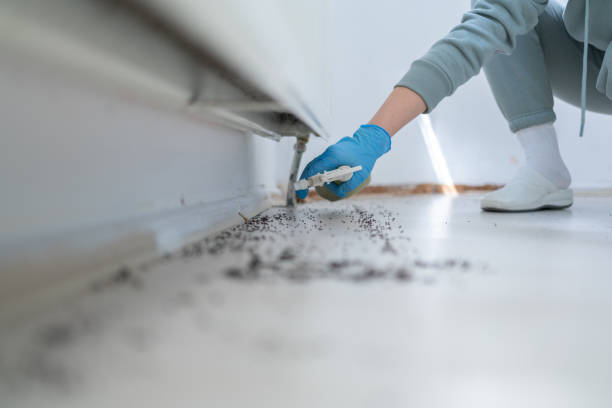 Best Emergency Pest Control  in Bremen, OH